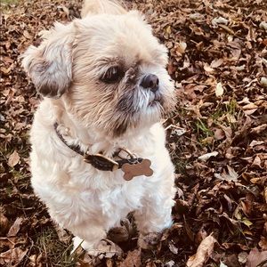 Meet your Posher, Blanca